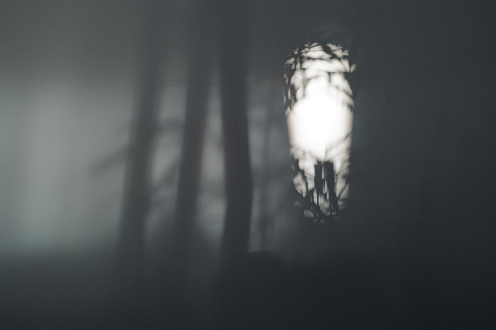 DAILY DESIGNについて