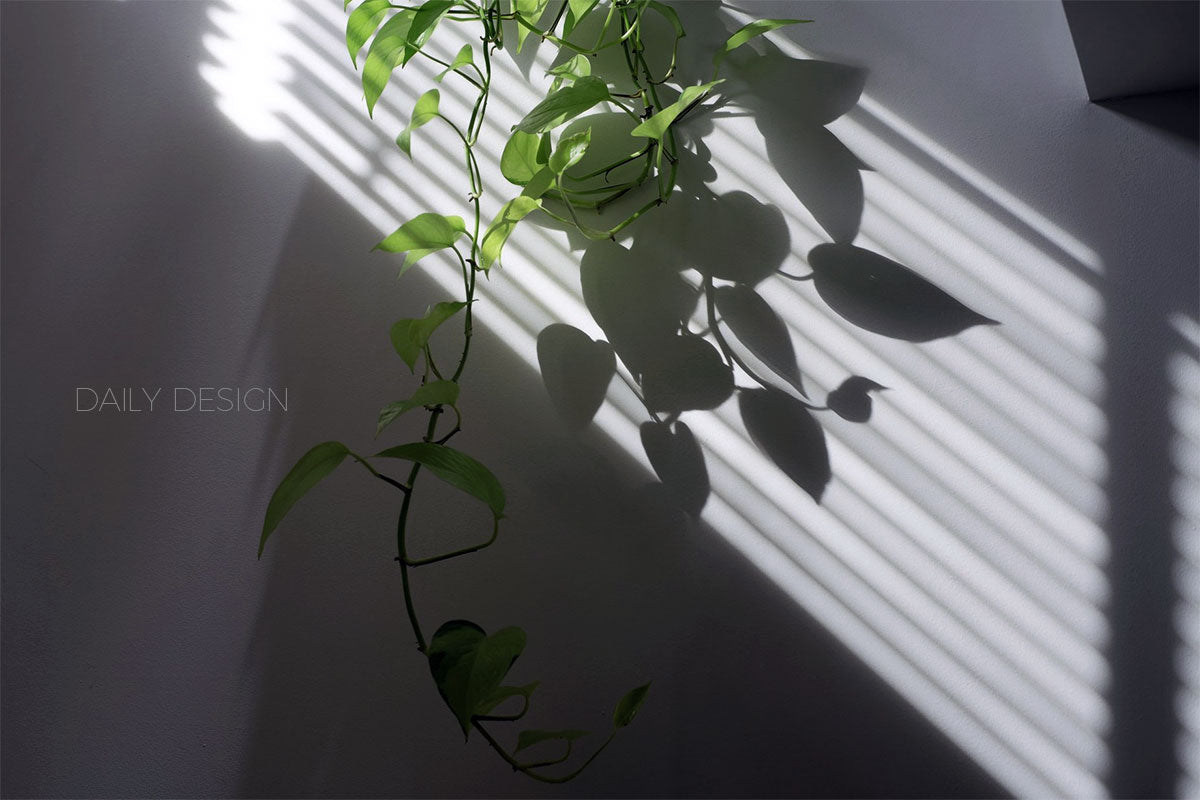 DAILY DESIGNストアがオープンしました